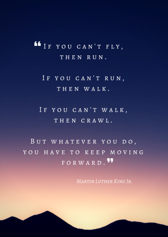 If you can't fly...MLK Quote